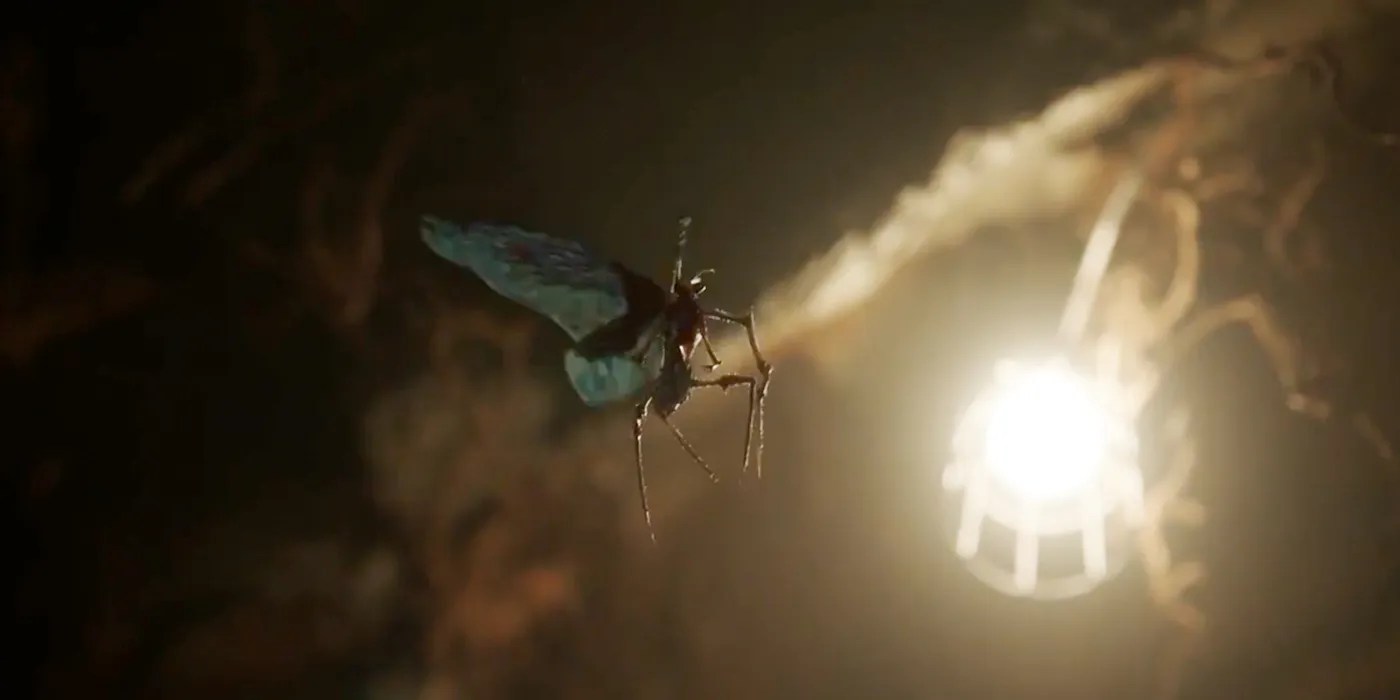 Who Are Peacemaker's Butterflies Powers, Origins & Theories