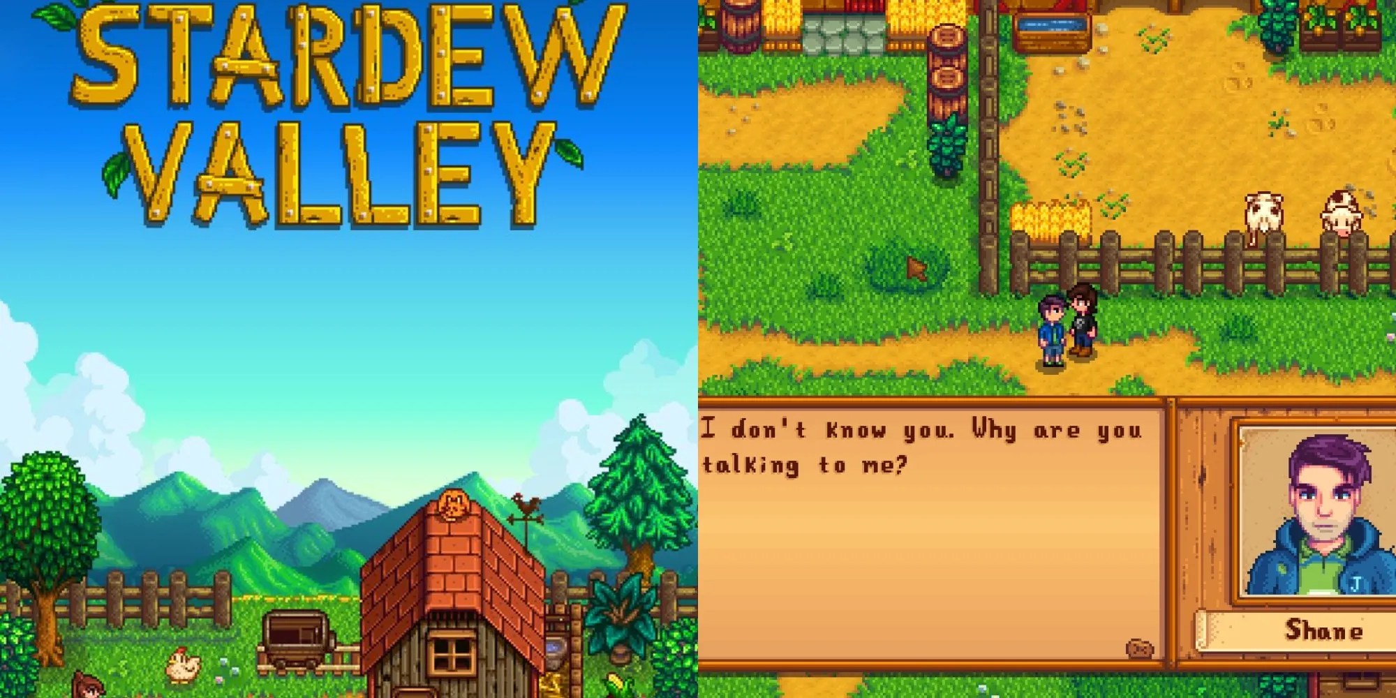 10 Best NPCs in Stardew Valley