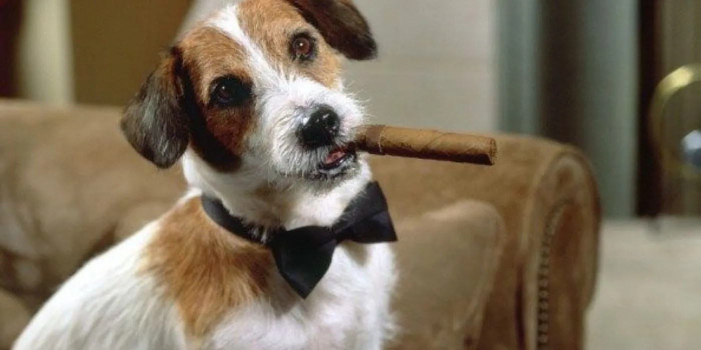 Frasier 8 Best Eddie The Dog Episodes