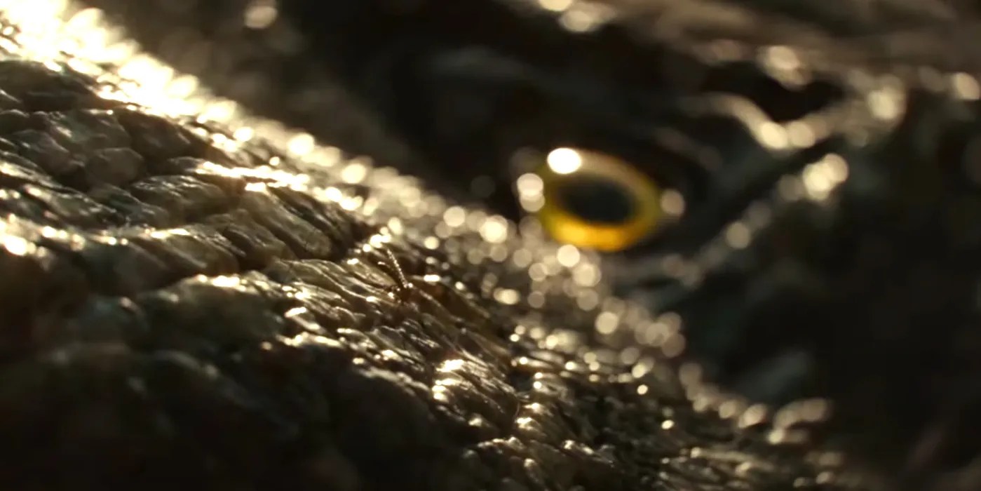 Complete Jurassic Park & World Timeline Explained Rotten Tomatoes