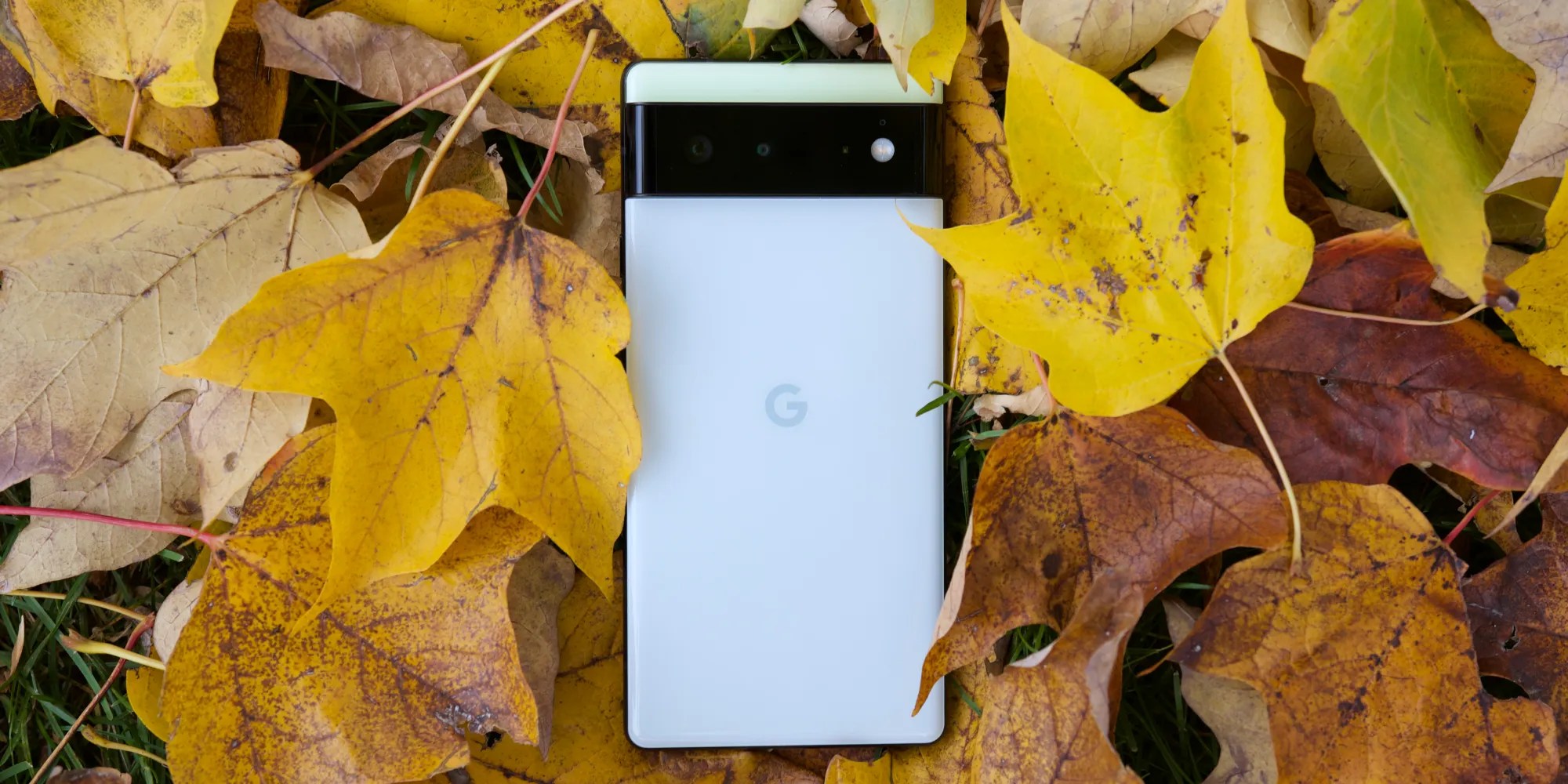 Google Pixel 6 Review The Android Phone Most People Should Buy