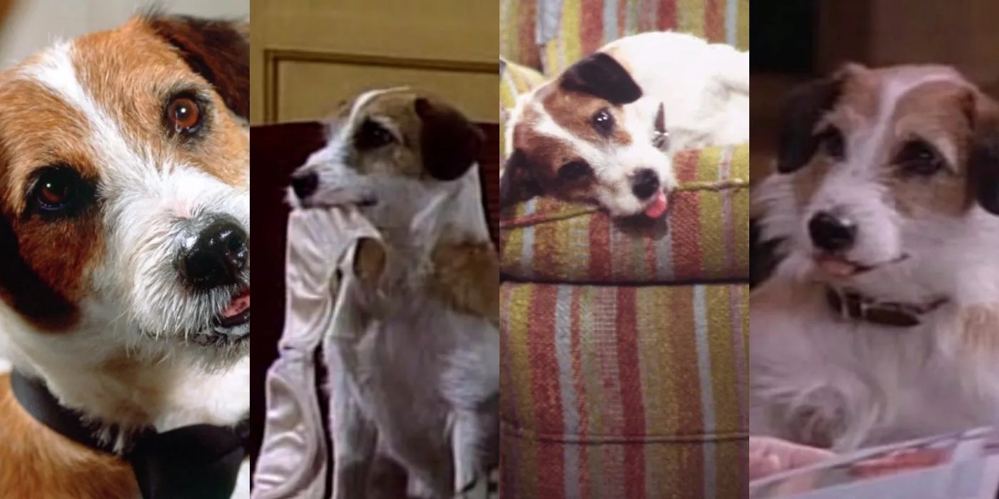 Frasier 8 Best Eddie The Dog Episodes