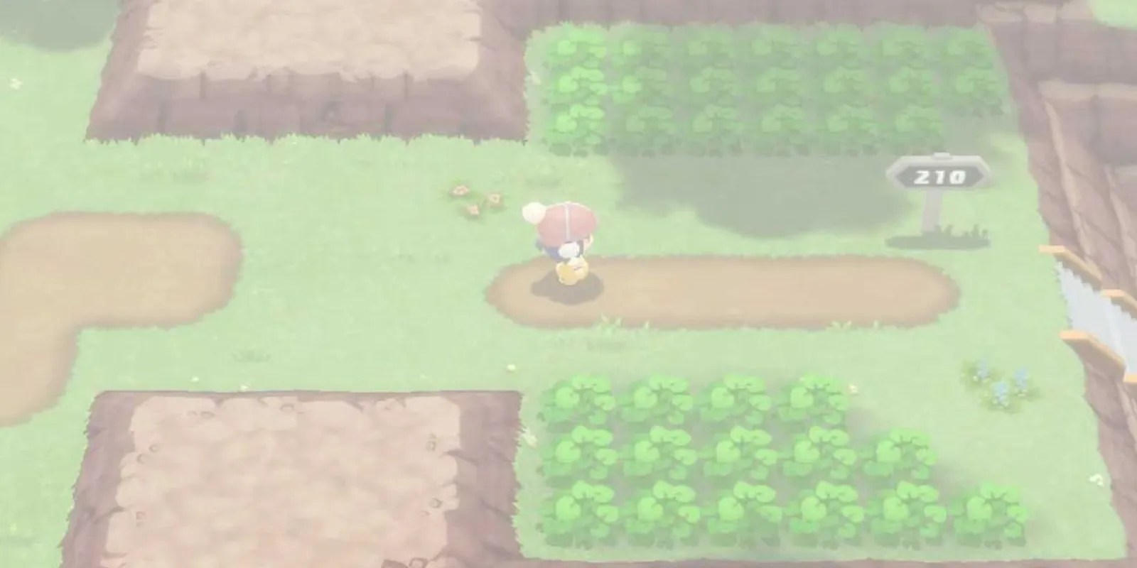 Why Defog In Pokémon BDSP Is So Easy To Miss
