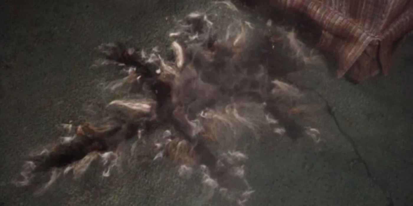 Christmas Vacation The 10 Worst Things That Happened To Clark