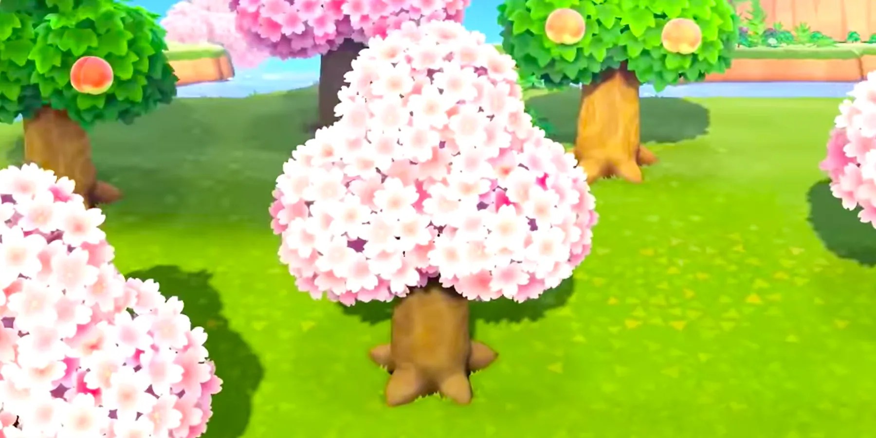 Animal Crossing Everything New in April 2022 (Bugs, Fish, Seasonal Items)
