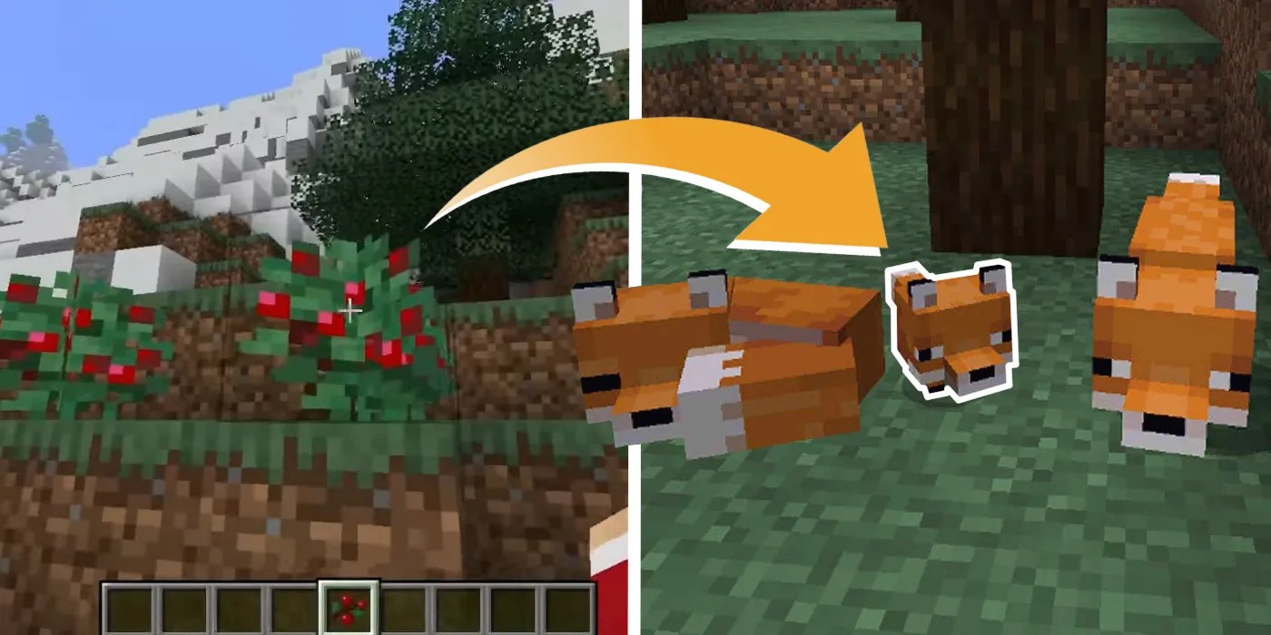 Minecraft How to Breed Foxes