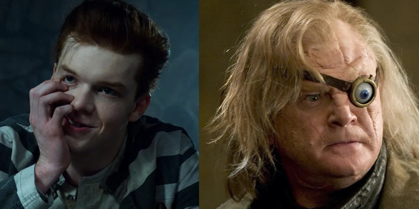 Harry Potter Fan Casting Younger Version Of The Adult Character
