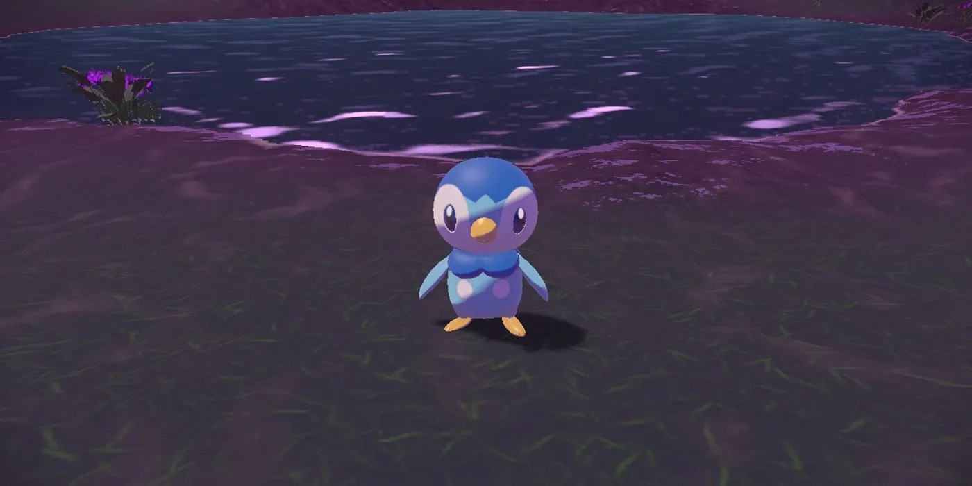 Pokémon Legends Arceus How To Find (& Catch) Piplup