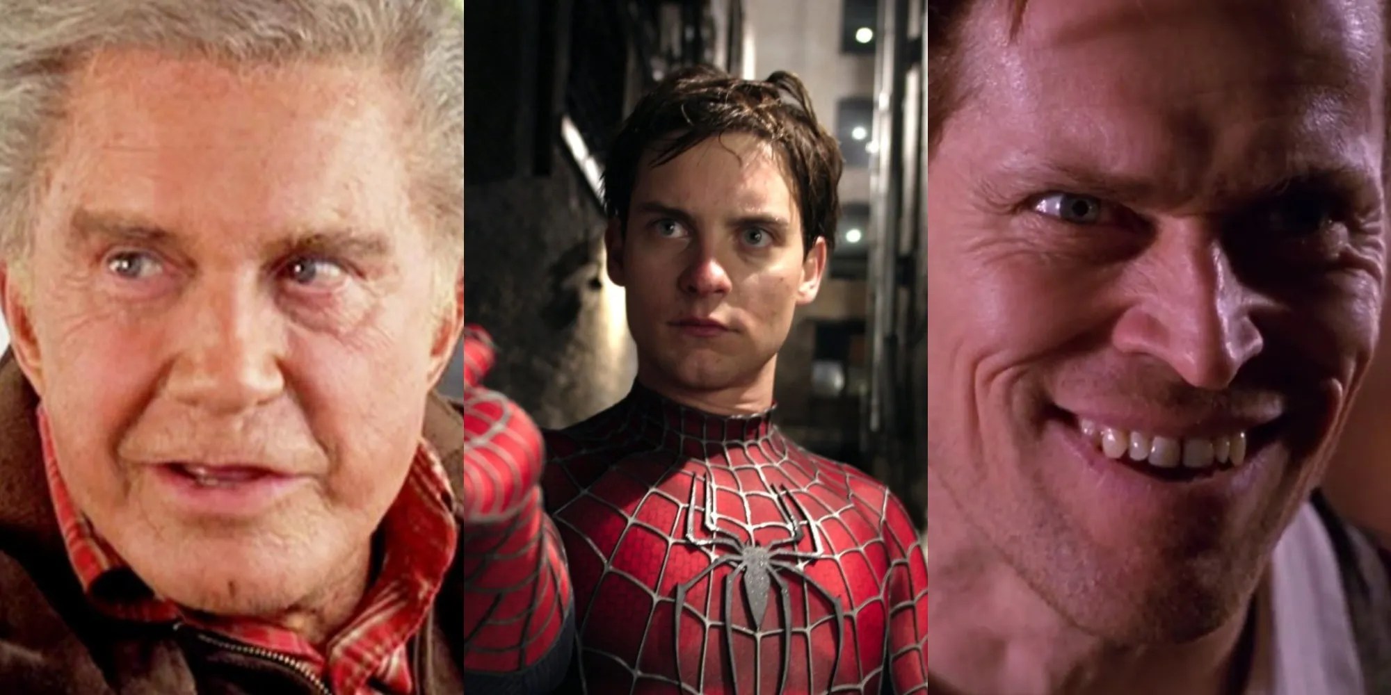 Sam Raimi's SpiderMan One Quote From Each Main Character That Sums Up