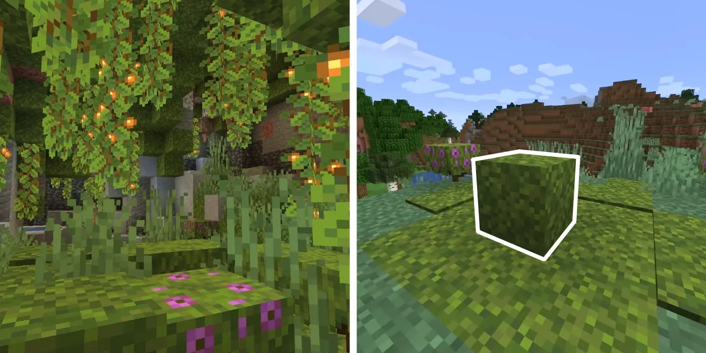 Minecraft How to Get (& Use) Moss Blocks