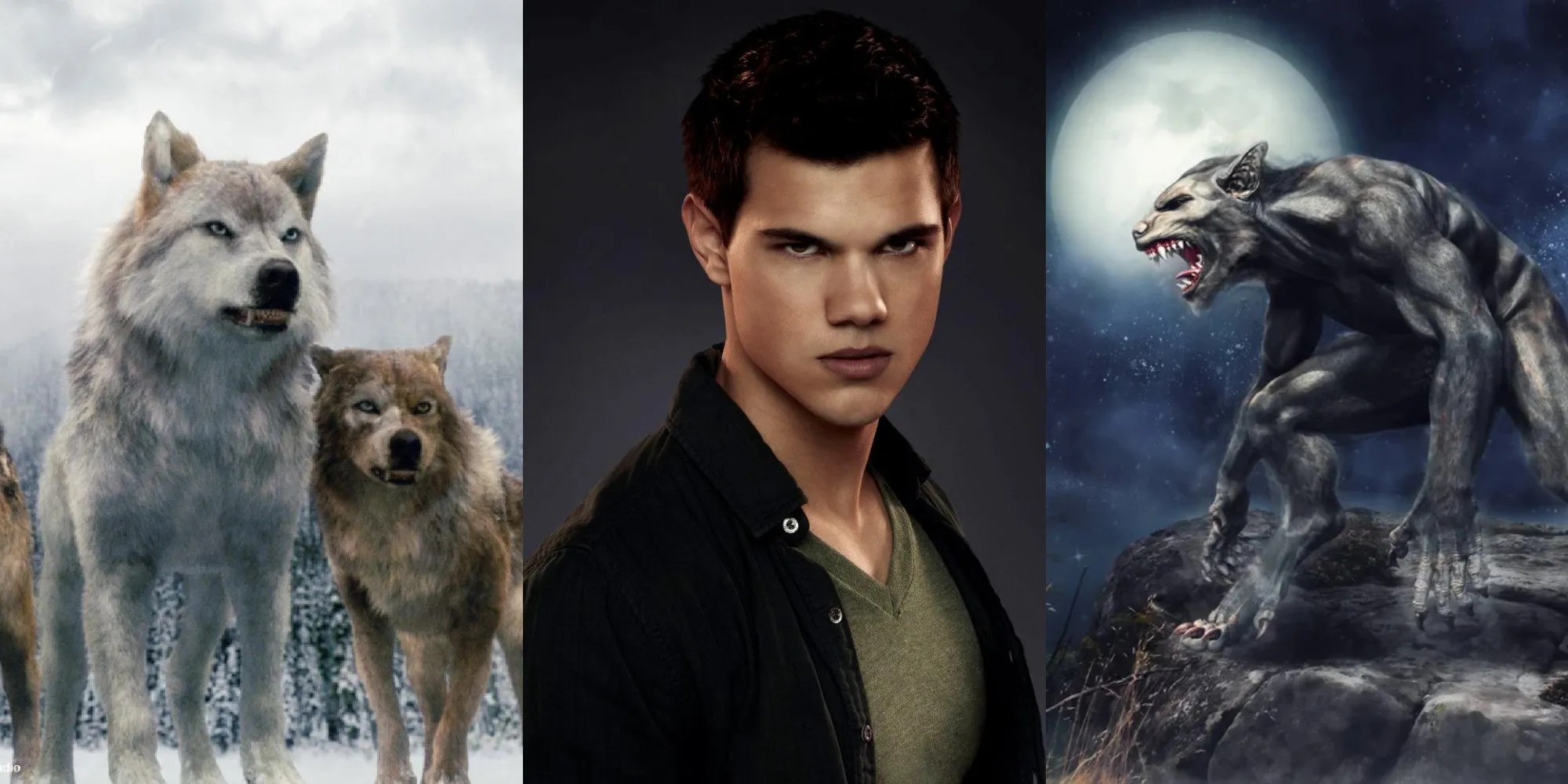 Twilight 9 Ways The Werewolves Are Different From Conventional Werewolves