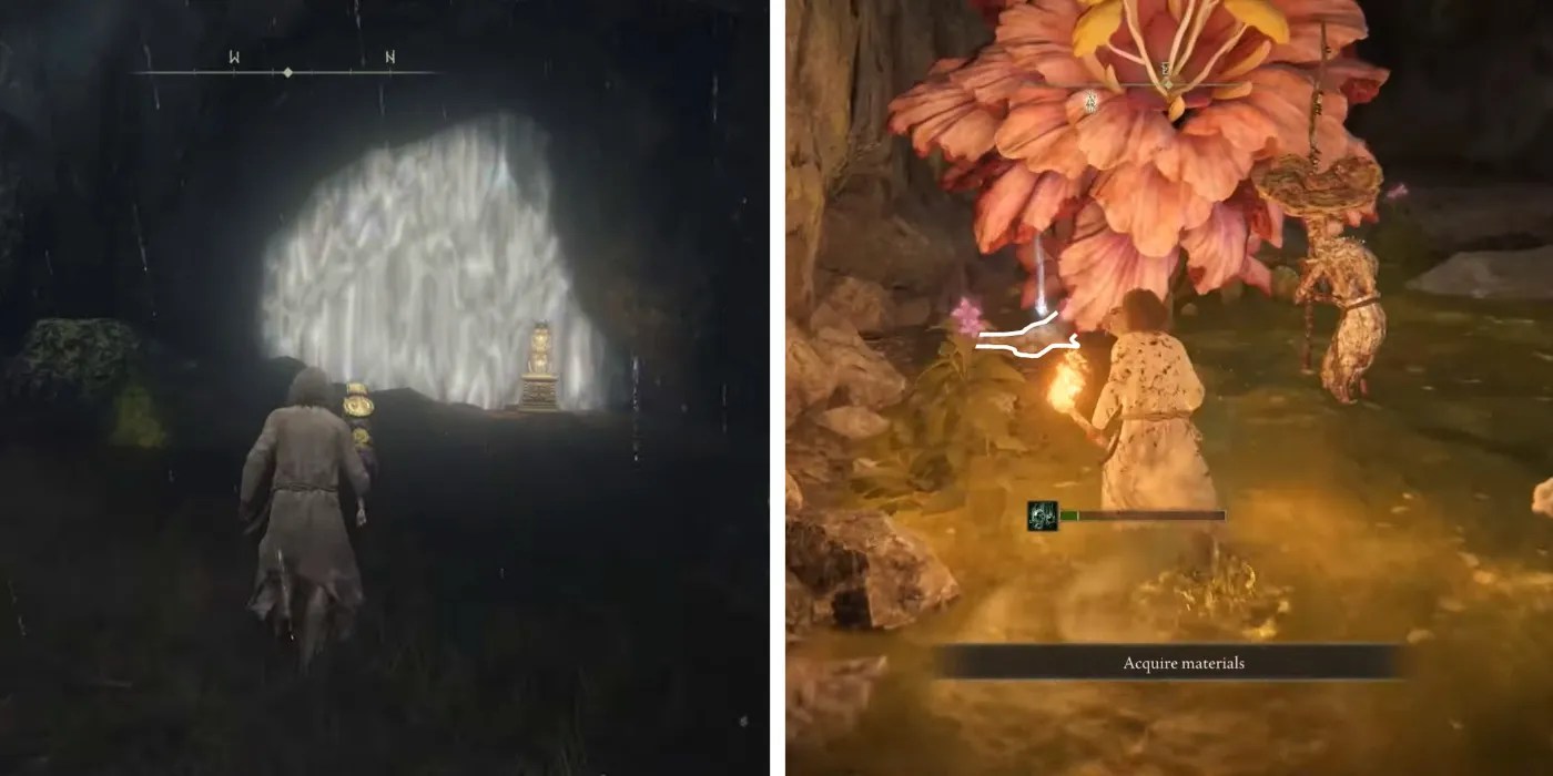 Elden Ring How To Get The Mushroom Set