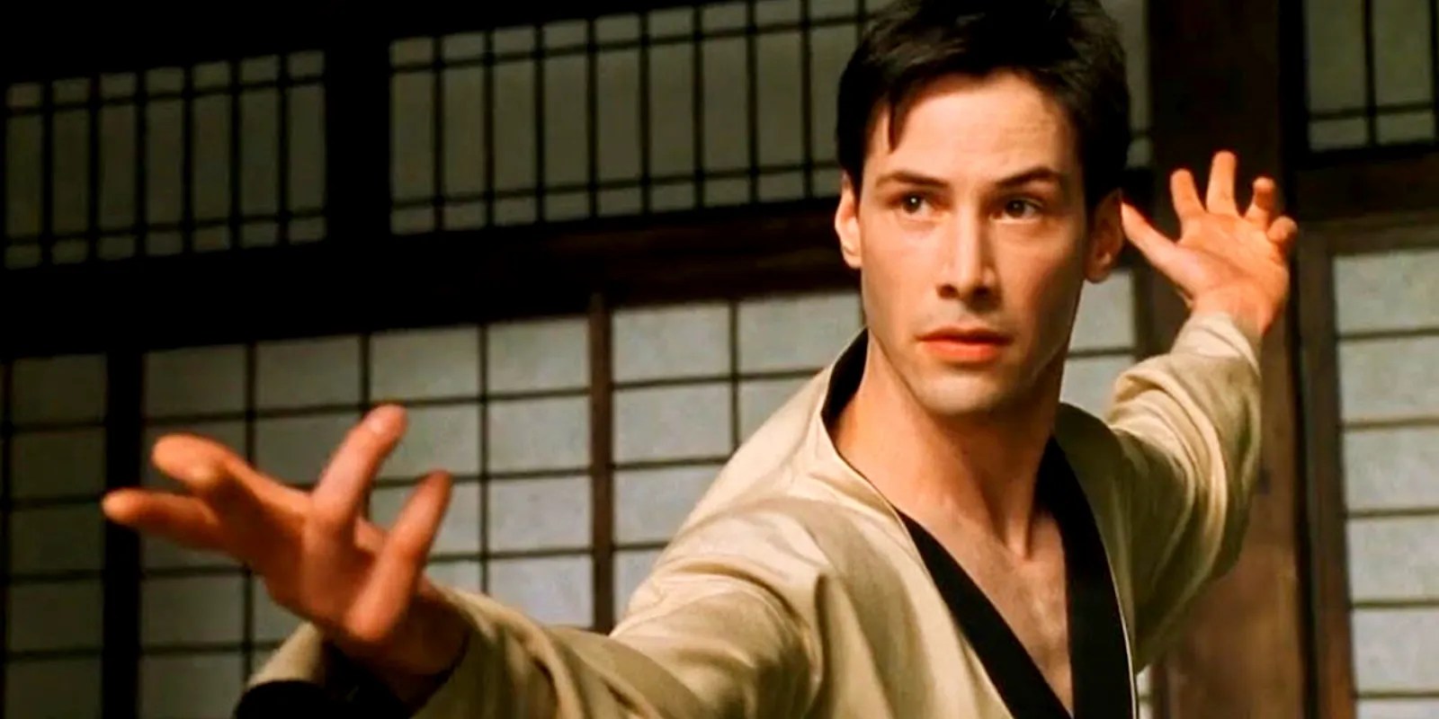 Every Martial Arts Style Neo Uses In The Matrix (Not Just Kung Fu)