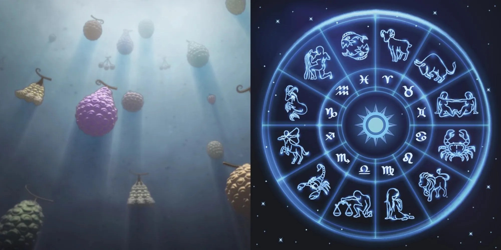 One Piece What Devil Fruit Would You Have Based On Your Zodiac Sign