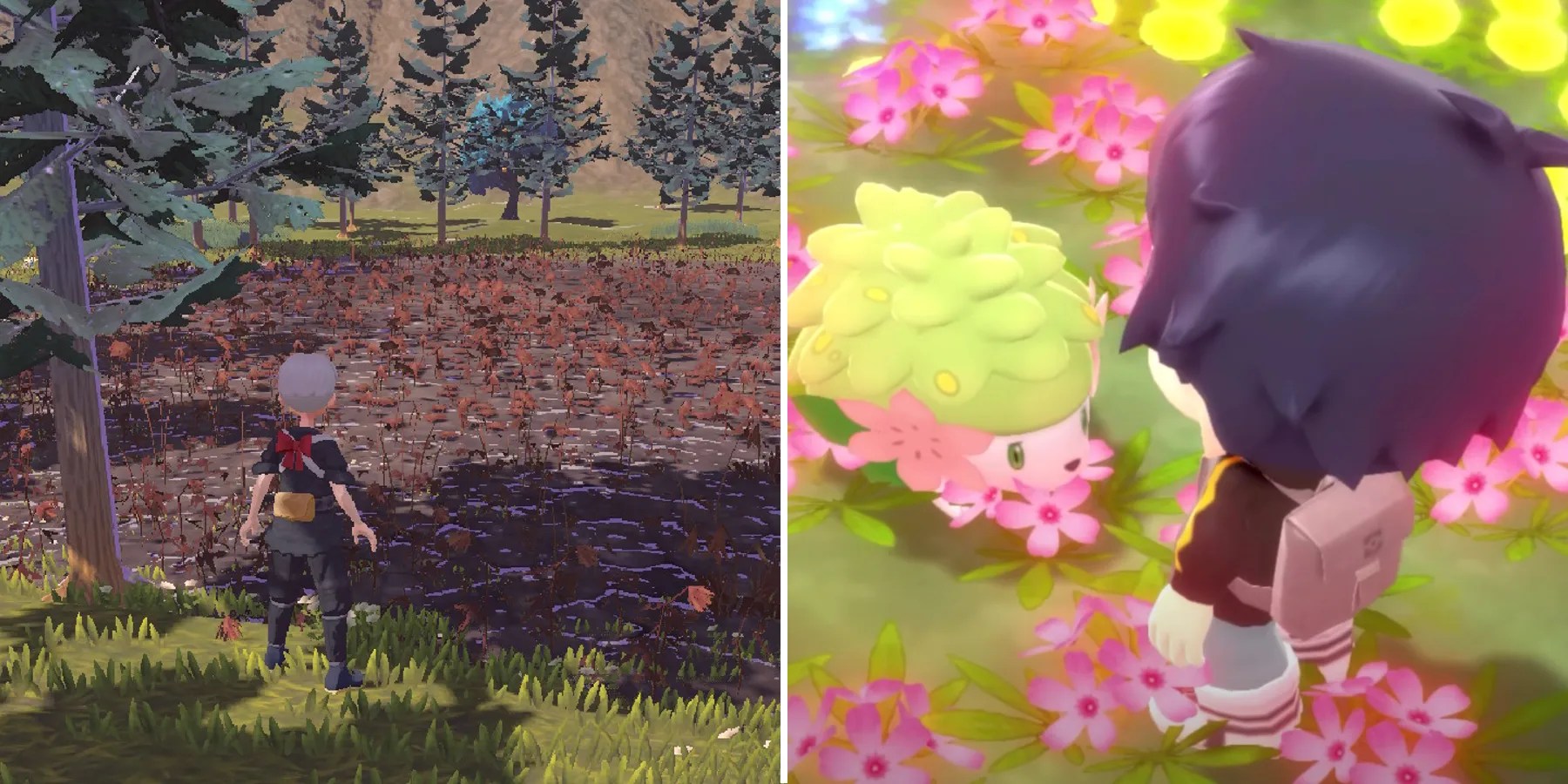 Legends Arceus Every Location That's A Reference To Pokémon BDSP