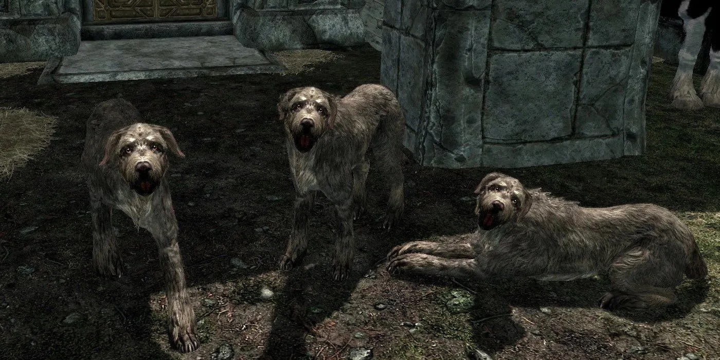Best Dogs In Skyrim, Ranked