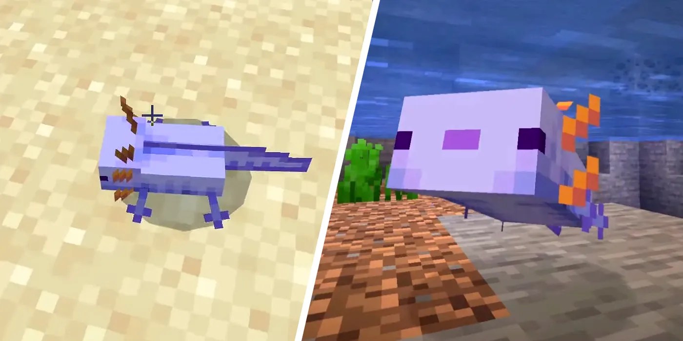 How To Spawn a Blue Axolotl in Every Minecraft Version