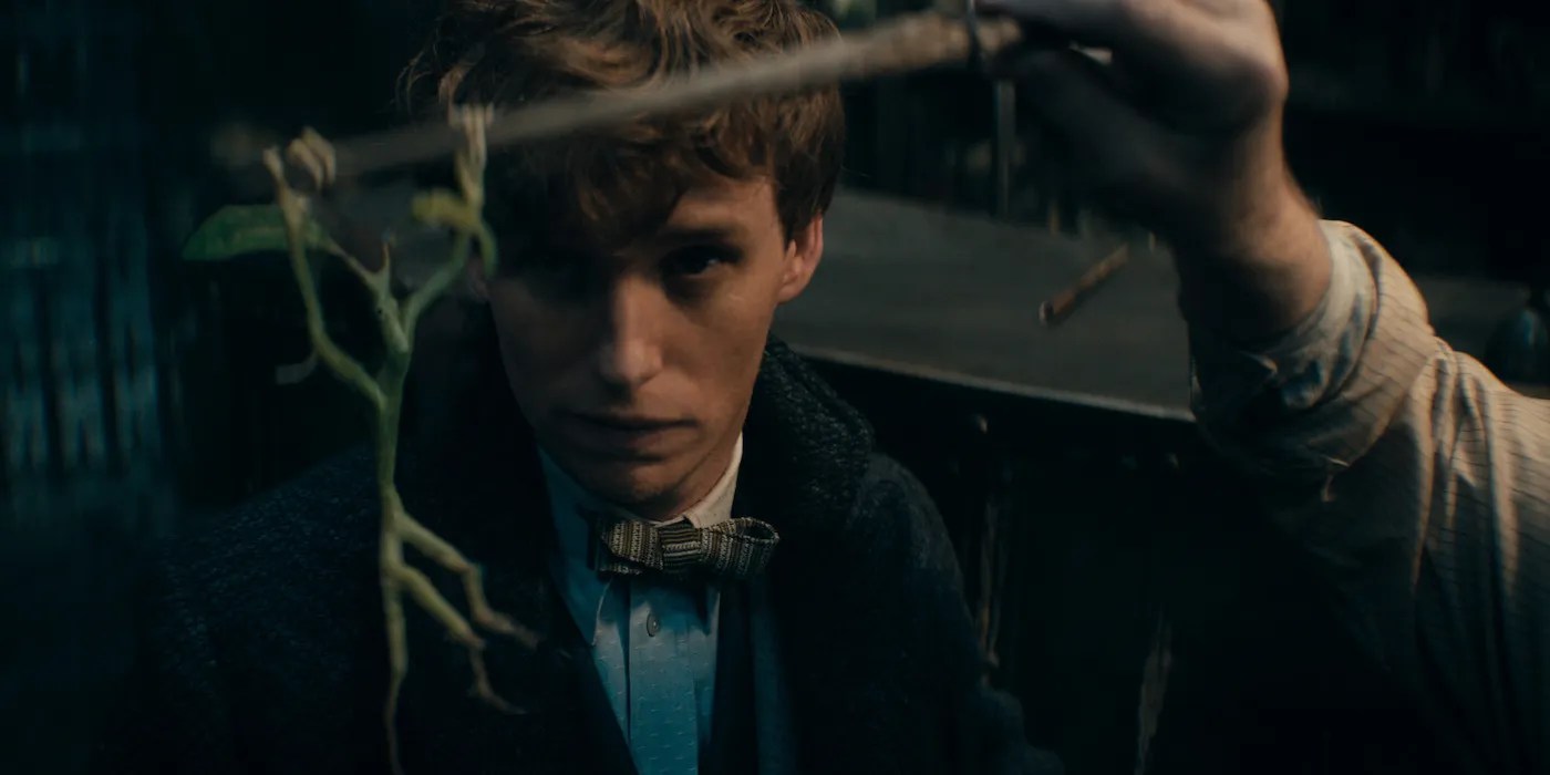 Secrets Of Dumbledore What Happens Next To Every Fantastic Beasts