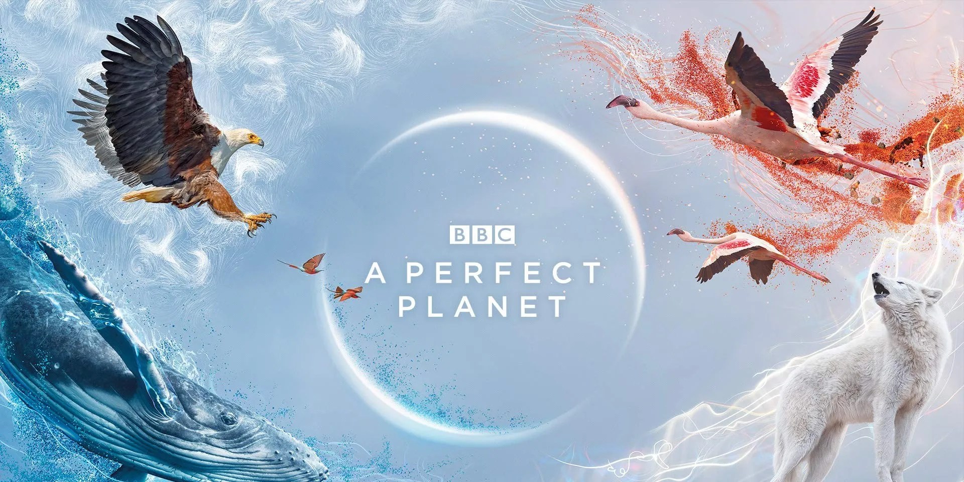 10 Best Nature Documentaries, According to IMDb