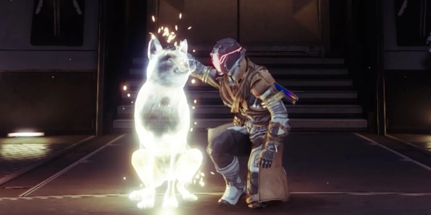 New Destiny 2 Season 17 Emote Lets You Pet Dogs For Charity