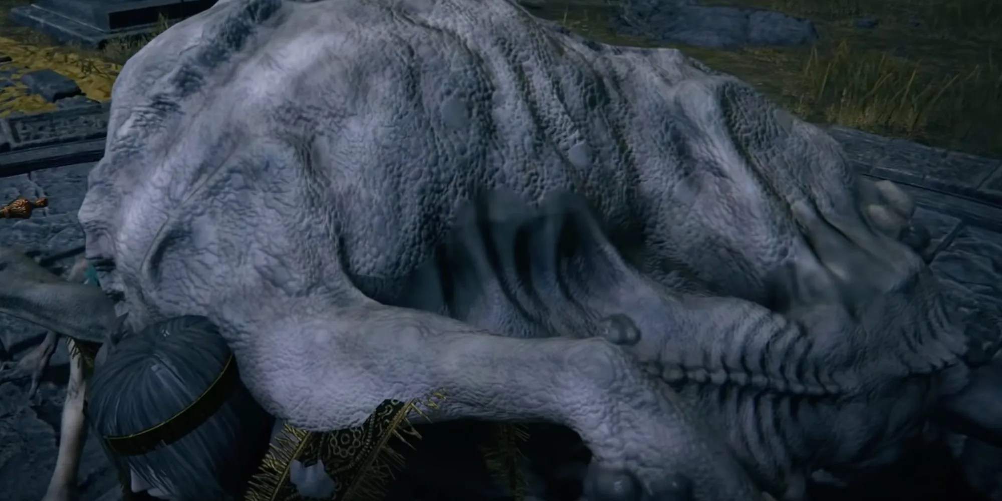 Elden Ring What's Under The Grafted Scion's Cloak Is Even Worse