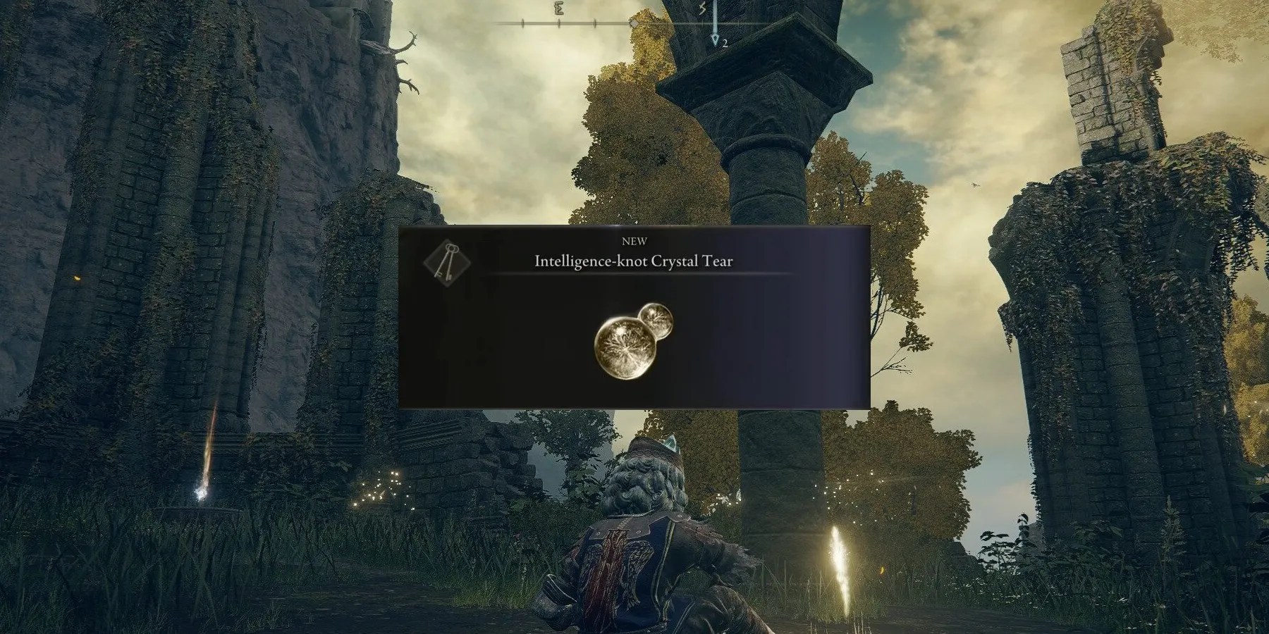 Elden Ring Where To Find The IntelligenceKnot Crystal Tear