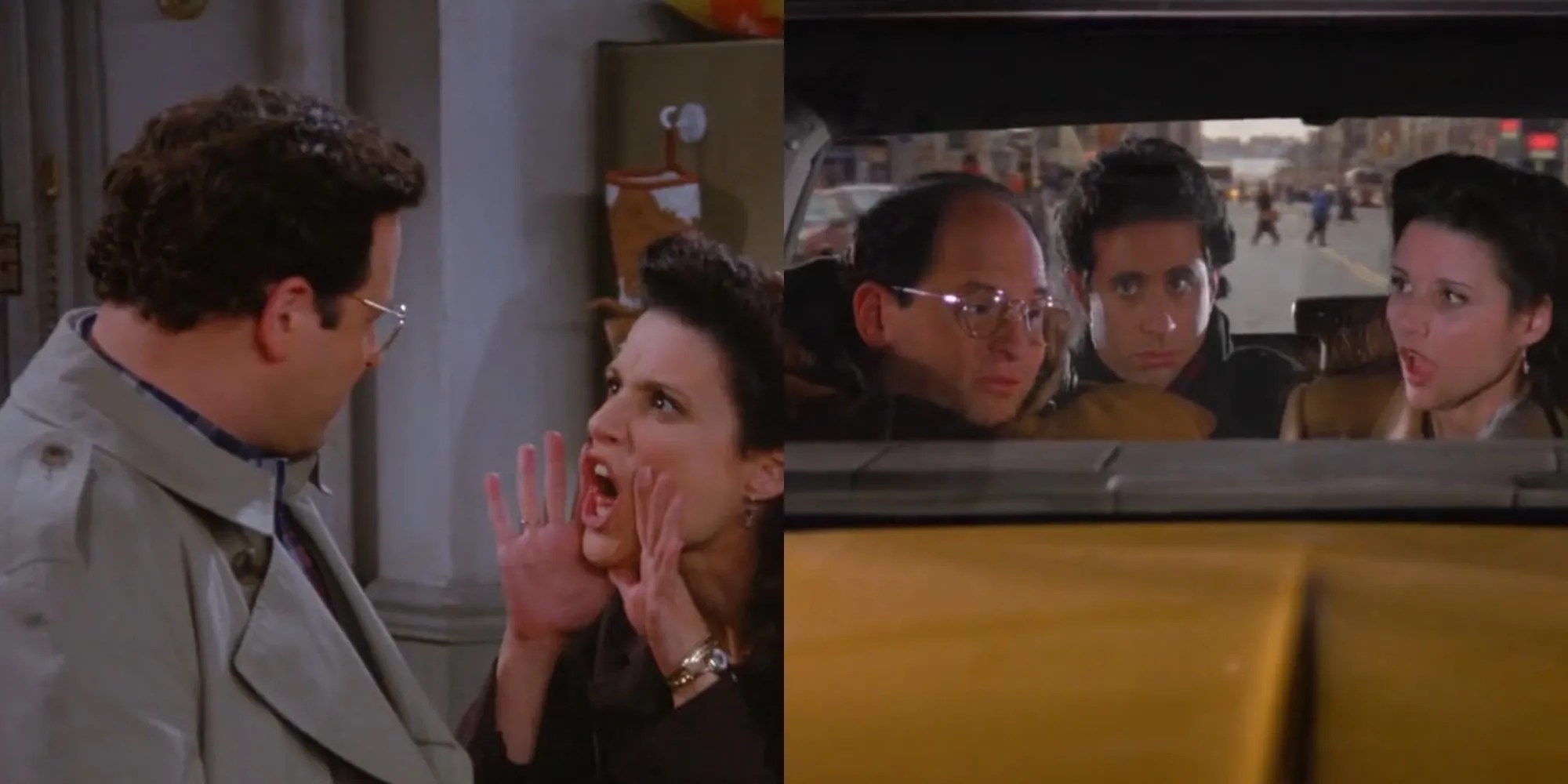 Seinfeld 8 Best Elaine Vs. Quotes