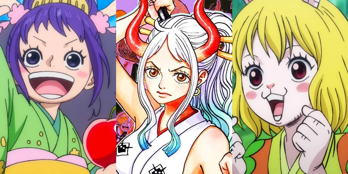 10 One Piece Characters That Could Have Members Of The Straw Hats