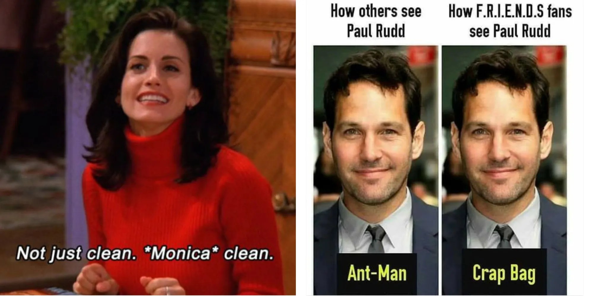 Friends Memes That Perfectly Sum Up Each Character's Personality