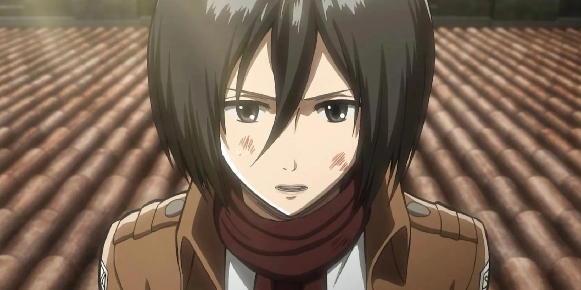 Manga Attack On Titan How Many Titans Mikasa Has Killed 🍀 1stkissmanga