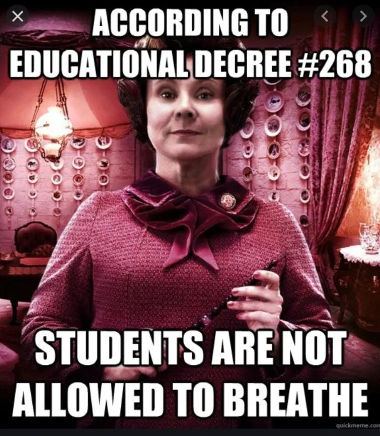 Harry Potter 10 Memes That Sum Up The Order Of The Phoenix