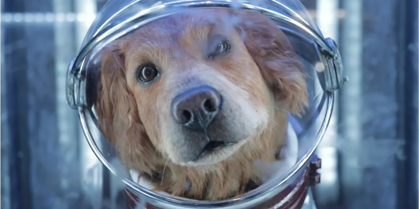 Guardians of the Galaxy 3 Gunn Defends Cosmo The Space Dog Gender Swap