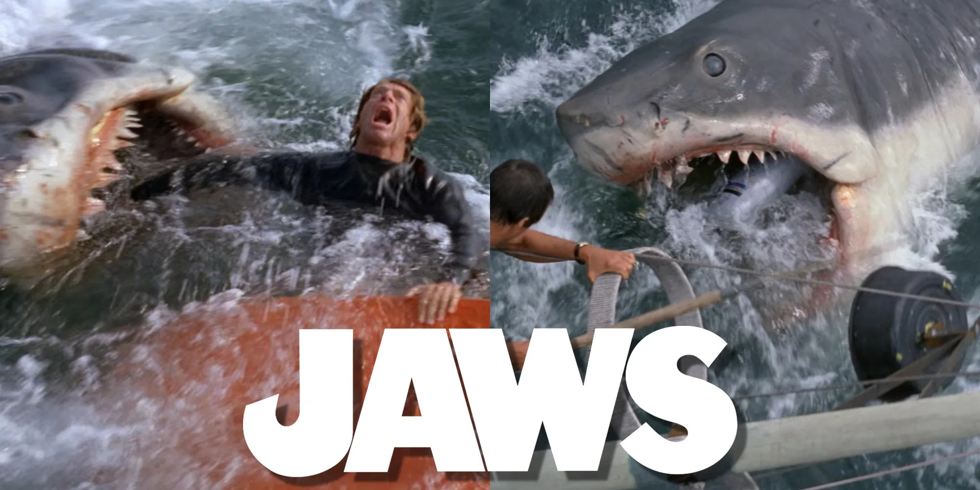 Jaws (1975) Every Death, Ranked LeastMost Gruesome