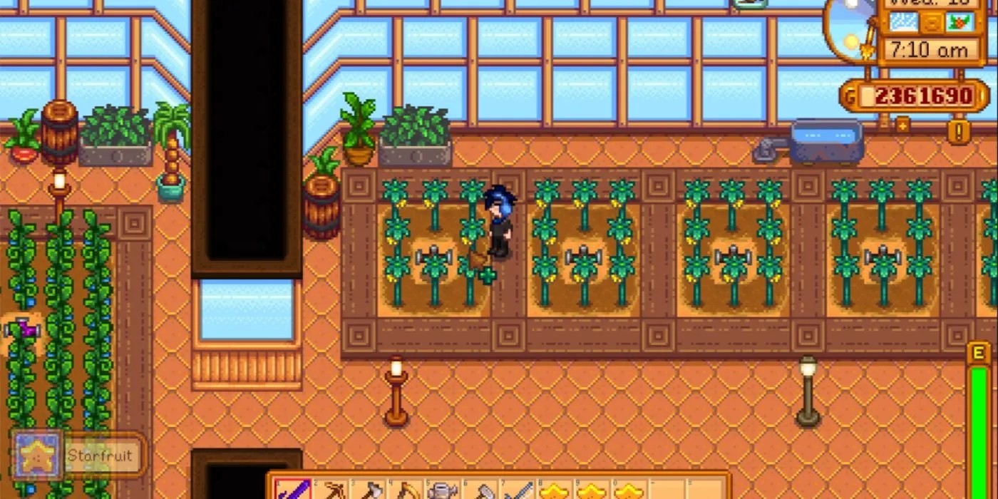 Stardew Valley 10 Most Valuable Crops To Grow, Ranked