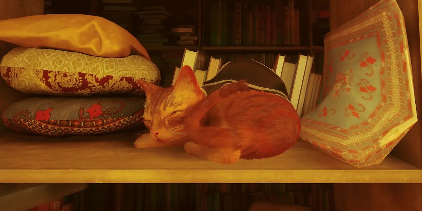 Read Cats Can't Get Enough Of Stray, According To Fan Videos 💎 mangacat