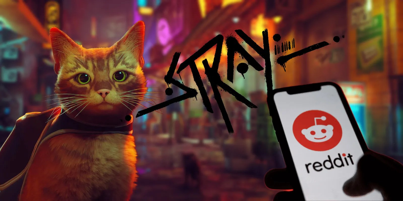 Stray 10 Hidden Details Found By Redditors TrendRadars