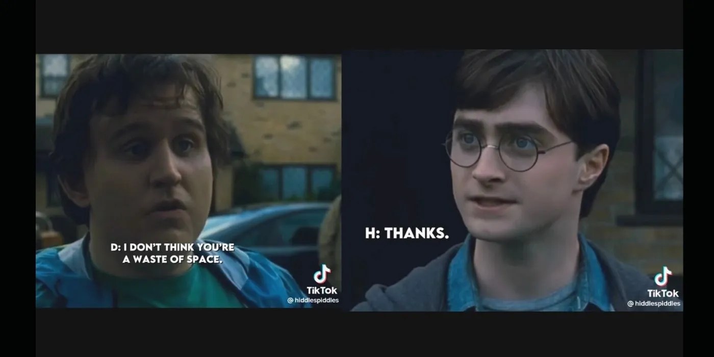 Harry Potter 10 Best TikToks About The Franchise