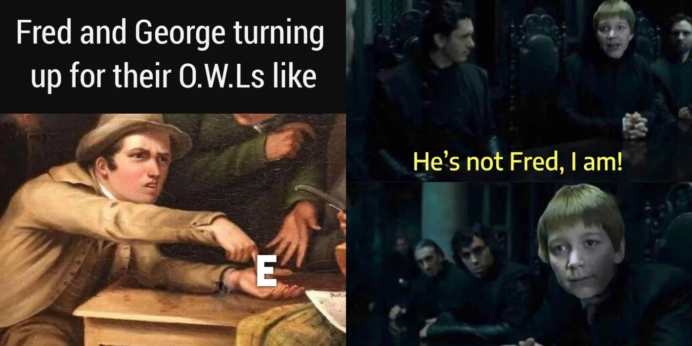 Harry Potter 9 Memes That Perfectly Sum Up Fred & As Characters