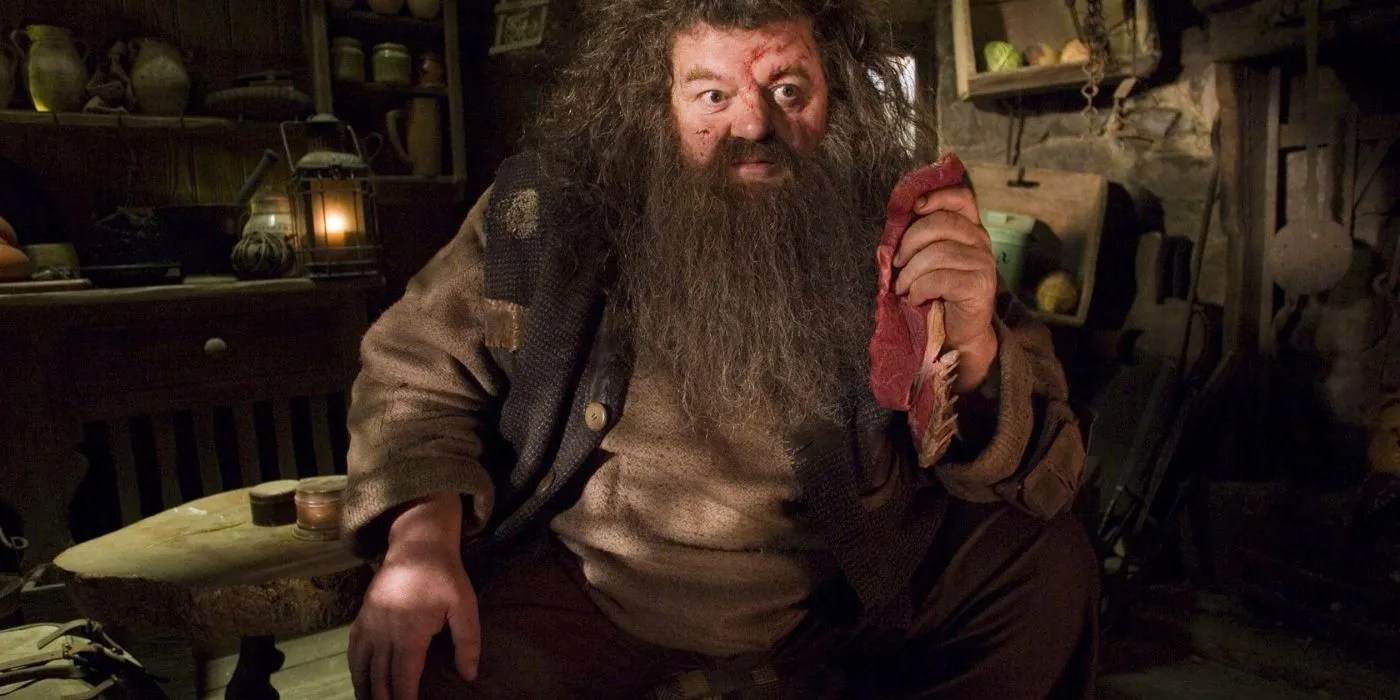 11 Harry Potter Characters That Will Be The Hardest To Recast In HBO’s