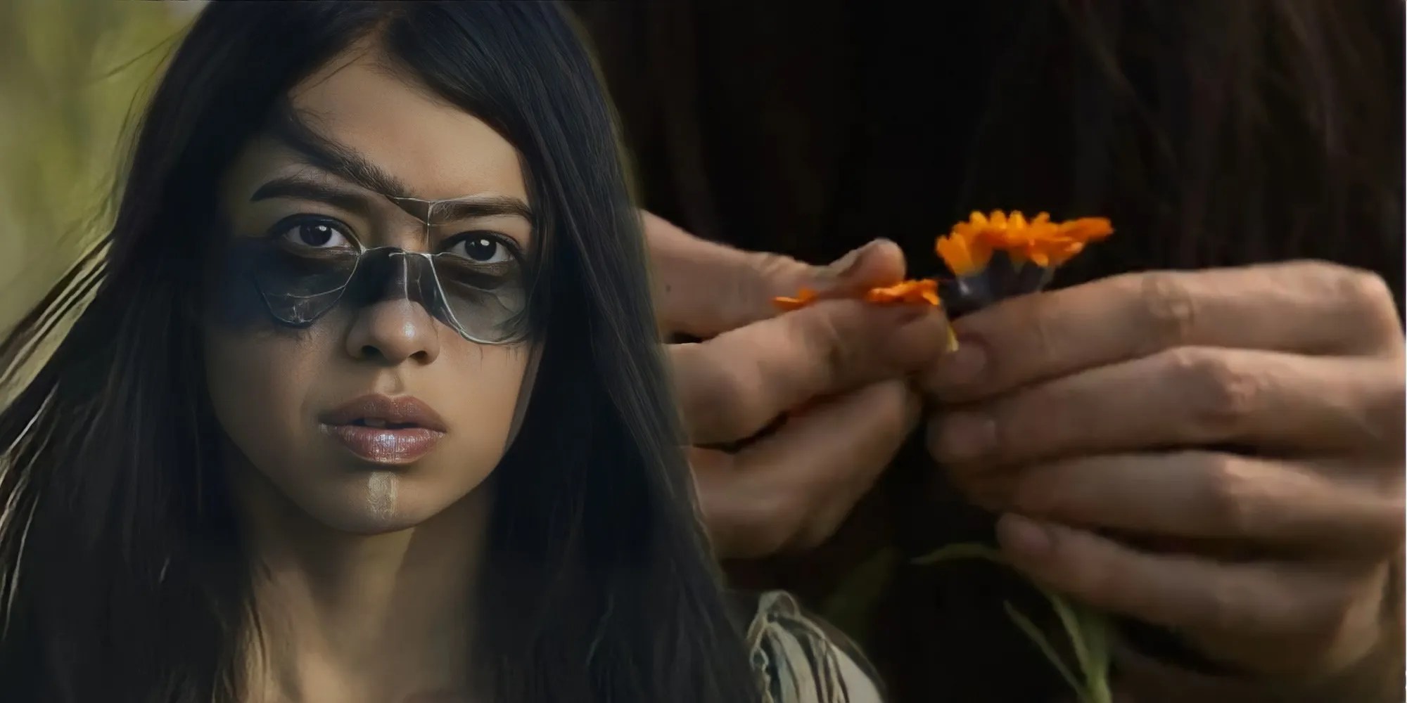 Is Prey's Orange Flower Real? And How Dangerous Is It?