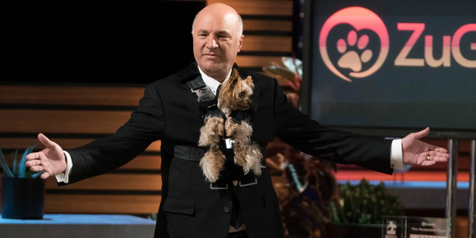 Shark Tank Every Series Regular Shark, Ranked