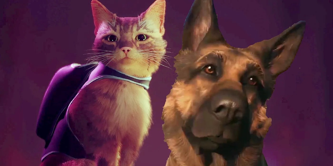 We Need A Stray For Dog People