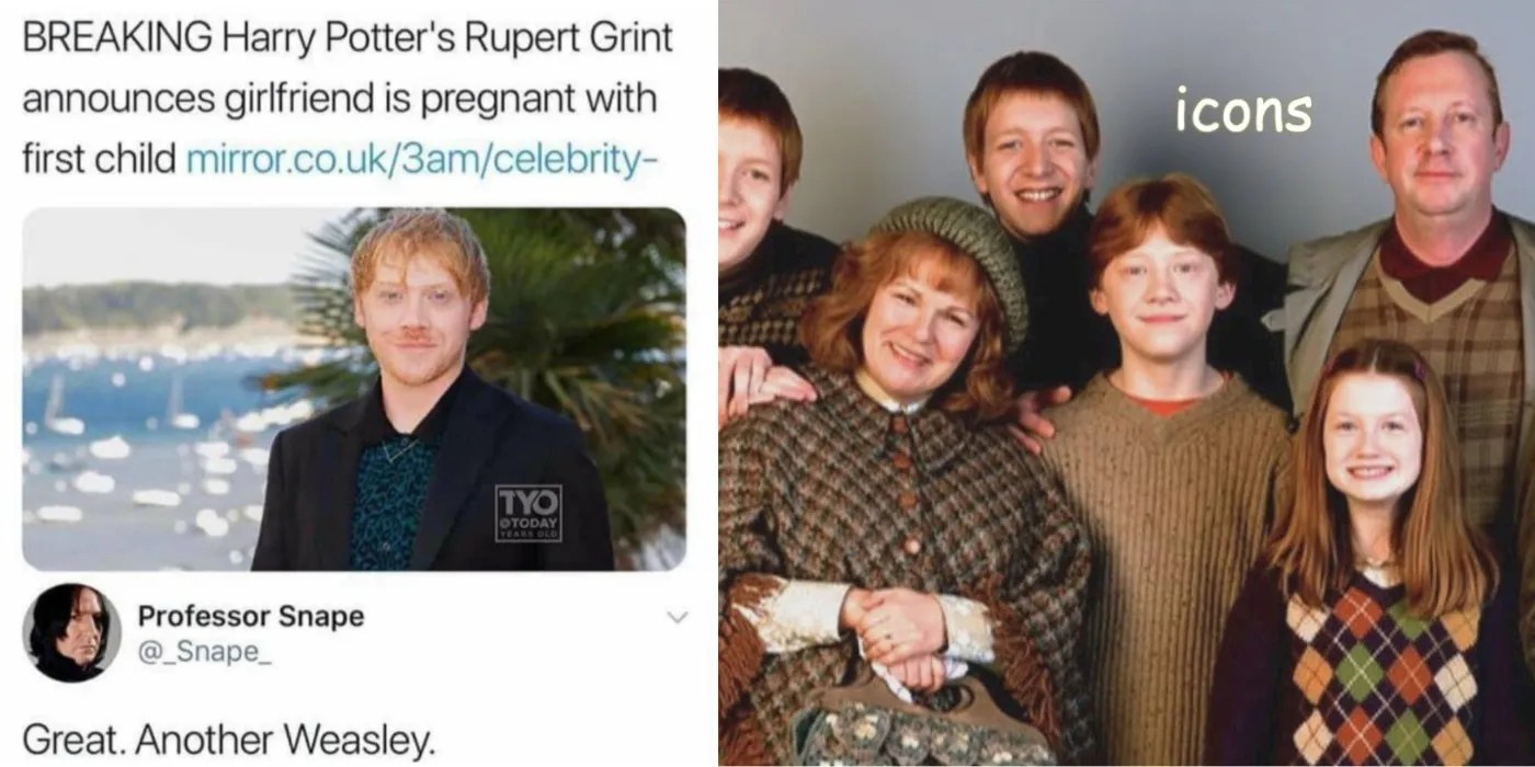 10 Memes That Perfectly Sum Up The Weasley Family