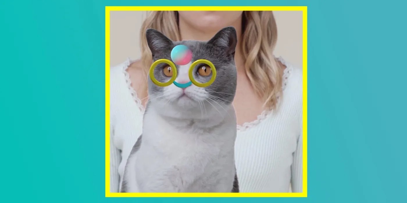 How To Use TikTok's AR Tracking Effects For Your Pet