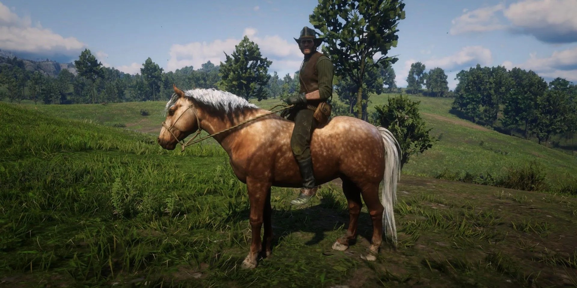 Red Dead Redemption 1 Every Horse, Ranked From Worst To Best