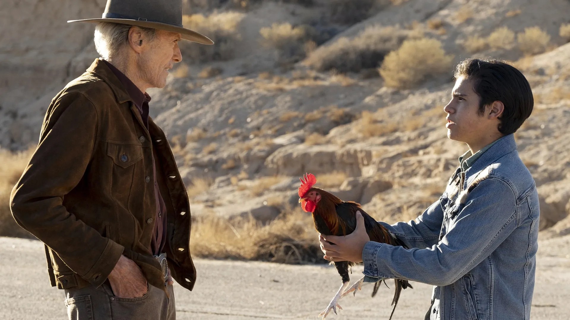 Where to Watch Cry Macho