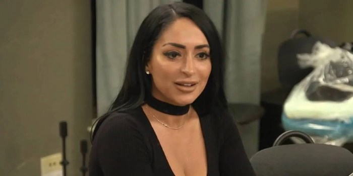 Angelina jersey shore net worth 2024