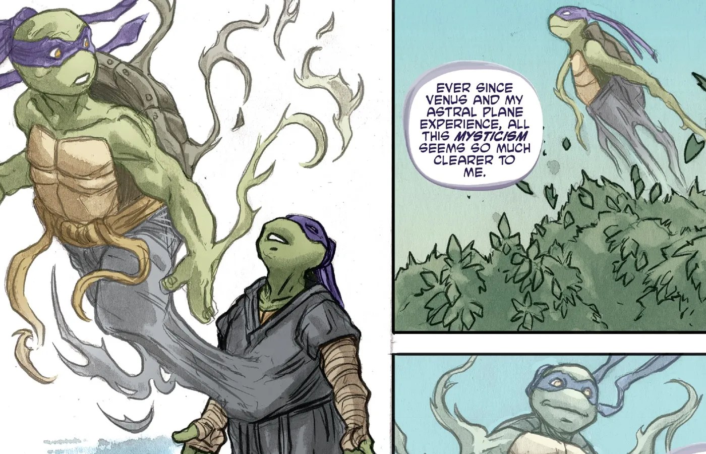 TMNT Each Turtle's New Mystic Power Explained