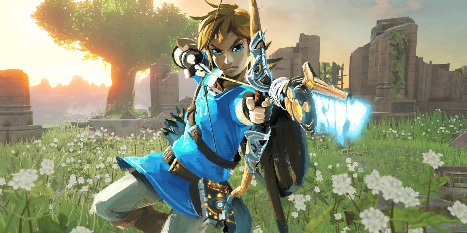 Everything You You Could Do In BOTW