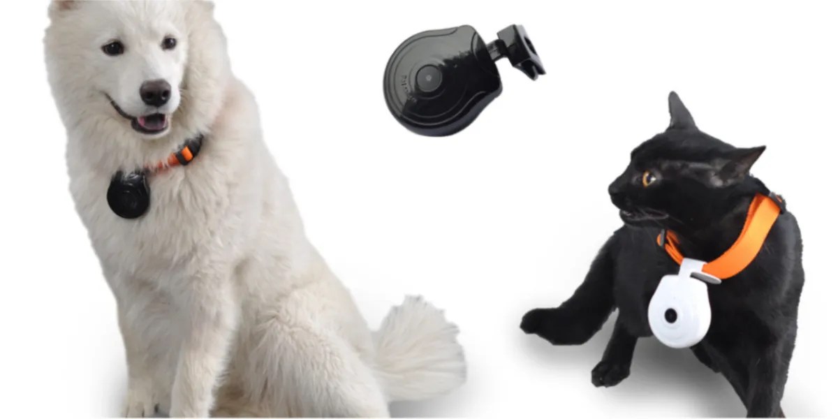 10 Tech Gadgets You Can Attach To Your Pets To Keep Them Safer